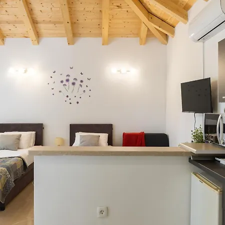 Apartment Roza